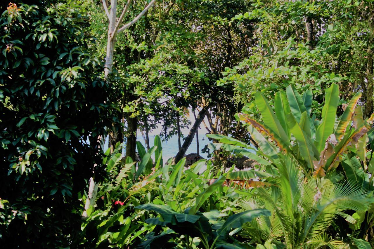 Puerto Viejo de Talamanca Casa Natural Puerto Viejo酒店 外观 照片